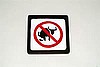 No Bullshit
