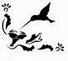 Silhouette Hummingbird
